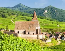 博鱼体育平台官网-塞维利亚主教练下课