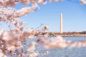 博鱼体育手机官网注册-洛杉矶快船迎CBA季后赛关键赛；今夜伤情更新；悬念犹存；身体对抗强度拉满